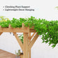 6.6' x 6.6' Wood Pergola, Outdoor Gazebo Grape Trellis with Stable Structure for Climbing Plant Support, Dark Brown