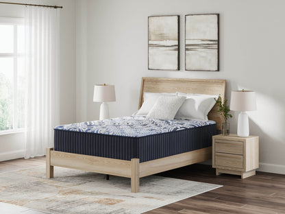 Firm Luxe 2.0 - Mattress - Forward Furniture