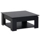 2 Tier Simple Modern Coffee Table Bottom Shelf Living Room Black