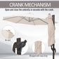 10ft Cantilever Patio Umbrella with 360° Rotation, Crank & Cross Base for Garden Deck Pool Backyard, Cream