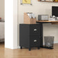 2-Drawer Lockable Filing Cabinet - Black