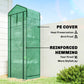 Mini Greenhouse with Screen Roof, Portable Small Greenhouse with Roll-Up Zipper Door