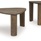 Reidport - Grayish Brown - Accent Cocktail Table Set (Set of 2)