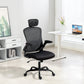 Ergonomic Mesh Office Chair with Lumbar Support - Black