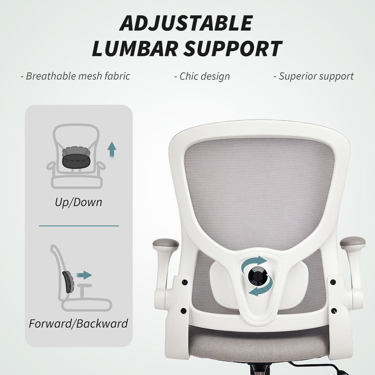 Ergonomic Mesh Office Chair with 4D Lumbar Support