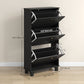 Narrow Shoe Storage with 3 Flip Drawers and Adjustable Shelves, Shoe Cabinet Organizer for 12 Pairs of Shoes, Black