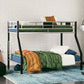 Dinsmore - Bunk Bed W/Ladder