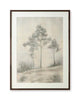 Fenngrove - Wall Art - Brown / Beige