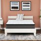 12 Inch Pocketed Hybrid - Mattress