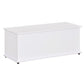 39.5" Storage Bench Chest with Flip-Top Lid - White