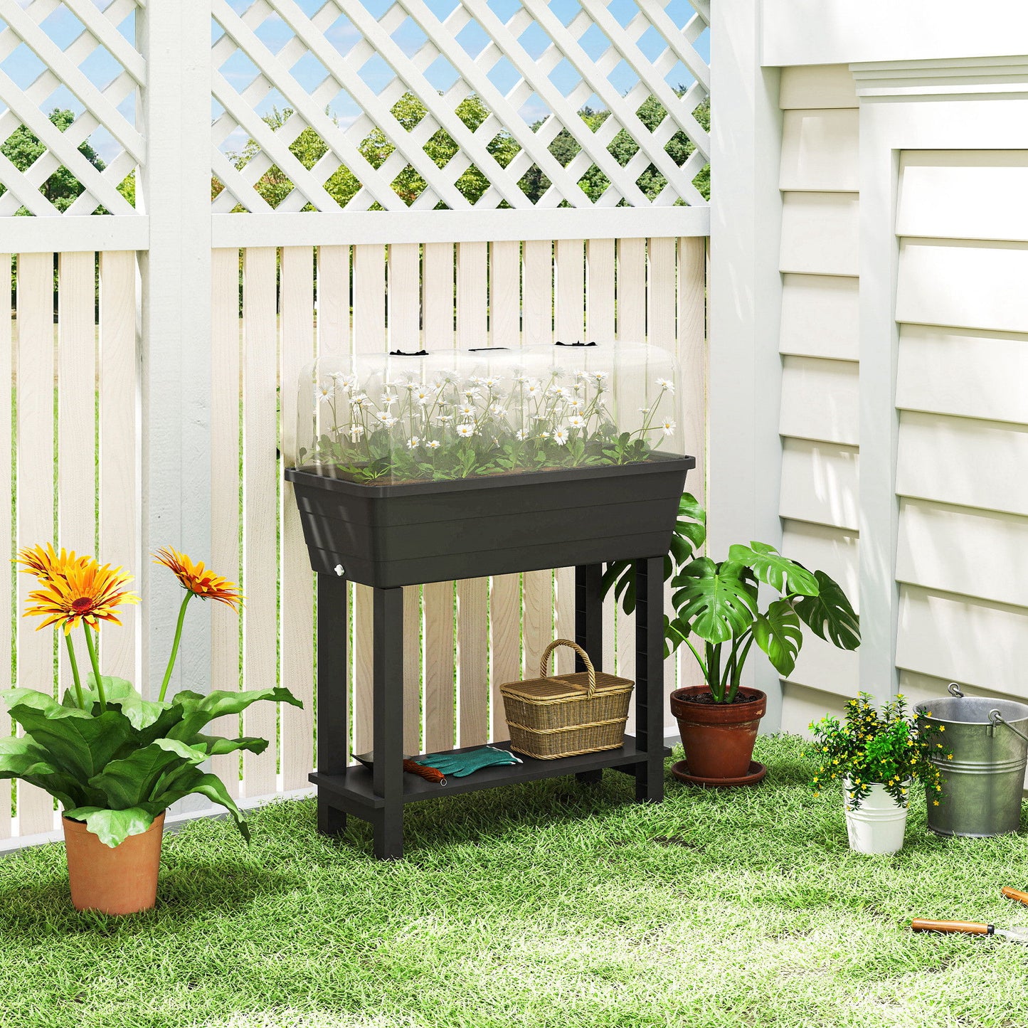 41L Self Watering Raised Garden Bed w/ Ventilation Transparent Lid Greenhouse, Planter Box w/ Storage Shelf, Black
