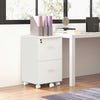 2 Drawer File Cabinet with Lock, Small Rolling Filing Cabinet for A4, Letter-Size Documents, Printer Stand for Home Office, 17