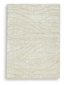 5' x 7'