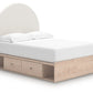Arloster - Upholstered Panel Bed
