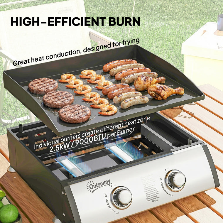 Silver 2-Burner Portable Tabletop Gas Grill