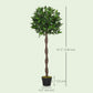 4FT Artificial Laurel Tree Set of 2, Lifelike Fake Plant with 564 Leaves, Potted Fake Plant for Home Office Decor, Green