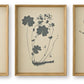 Huddwick - Wall Art Set (Set of 3) - Linen / Black