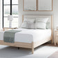 Cadmori - Upholstered Panel Bed