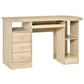 Computer Desk with Shelves and Drawers