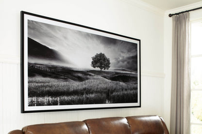 Deborland - Black / White - Wall Art - Forward Furniture