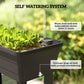 41L Self Watering Raised Garden Bed w/ Ventilation Transparent Lid Greenhouse, Planter Box w/ Storage Shelf, Black
