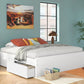 Onita - Platform Bed