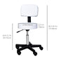 Adjustable Rolling Drafting Stool with Back - White