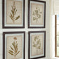 Dyani - Brown - Wall Art Set (Set of 4)