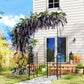 7ft Steel Garden Arch with Gate, Garden Arbor Trellis for Climbing Plants, Roses, Vines, Wedding Arch for Outdoor, Garden, Lawn, Backyard, Black