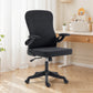 Ergonomic Office Chair, Swivel Desk Chair with Adjustable Lumbar Support and Height, Flip-up Armrests, Wheels, Black