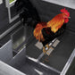 82" Chicken Coop Wooden Hen House Rabbit Hutch Poultry Cage Pen Outdoor Backyard with Nesting Box and Run, Grey
