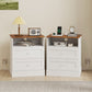 Nightstand with Charging Station 2 Drawers Bedside Table Set of 2 White and Oak