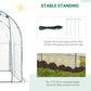 Dome Tunnel Greenhouse Plant Shed with Roll Up Door, 6.6' x 8.2' x 6.6', Transparent