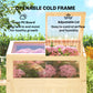Raised Garden Bed Planter with Cold Frame, Wooden Elevated Planter Box with Folding Side Table and Shelf, Natural Wood