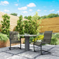 C Spring Motion Patio Chairs Set of 2 with Curved High Backrest, Armrest, All Weather Breathable Fabric, Metal Frame