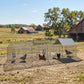 Metal Chicken Coop with UV-Resistant Cover for Hens, Rabbits, Ducks, Geese, 168.5" x 42.1" x 43.7", Grey