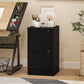 2 Drawer Filing Cabinet with Lock, Office Storage Cabinet with Adjustable Hanging Bars for A4 Letter Size Files, Black