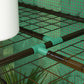 Portable Mini Greenhouse Green House with 3 Tier Shelves, Reinforced PE Cover, Roll-up Doors, 56.3" x 18.1" x 59.4"