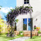 7.3ft Steel Garden Arch Trellis, Garden Arbor Trellis for Climbing Plants Roses Wisteria Vines, Flower Arch Wedding Arch Stand for Bridal Party Ceremony Decoration, Black