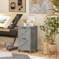 Vertical Filing Cabinet with 2 Drawers, Rustic Farmhouse Office Storage Cabinet for A4, Letter Size, Stone Grey