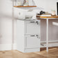 Vertical Filing Cabinet with 2 Drawers, Lock, File Cabinet for Home Office, A4 and Letter Size Files, White