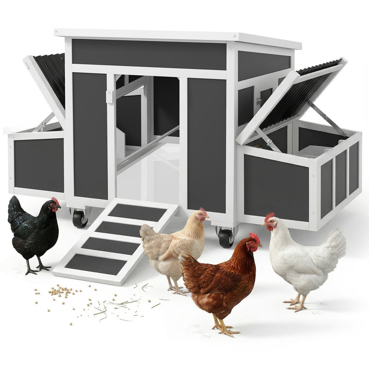 Dark Grey Wooden Chicken Coop with Nesting Box