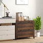 2 Drawer File Cabinet, Lockable Filing Cabinet with Adjustable Hanging Bar for Letter, A4 and Legal Size, Brown