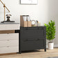 2 Drawer File Cabinet, Lockable Filing Cabinet with Adjustable Hanging Bar for Letter, A4 and Legal Size, Black