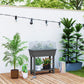 41L Self Watering Raised Garden Bed w/ Ventilation Transparent Lid Greenhouse, Planter Box w/ Storage Shelf, Dark Grey