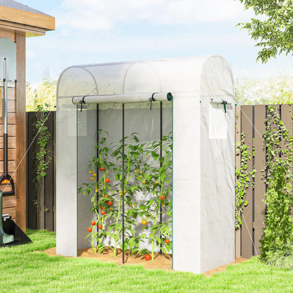 6' x 2' x 6.6' Portable Greenhouse with Roll-Up Door and Window