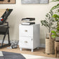 2-Drawer Small Filing Cabinet Lockable Home Office Storage Cabinet with Adjustable Hanging Bars for A4 Letter White