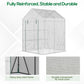 56" x 56" Walk-in Greenhouse Outdoor, Portable Gardening Plant Hot House with 2-Tier Shelf, Green