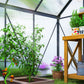 6' x 6' x 6.5' Polycarbonate Greenhouse, Walk-in Green House with Adjustable Roof Vent Galvanized Base Sliding Door Rain Gutter for Outdoor Garden Backyard, Grey