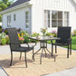 2 Piece PE Rattan Patio Dining Chairs with Steel Frame, for Garden, Backyard, Pool Side, Porch, Black